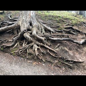 Meet your Posher, Lesley